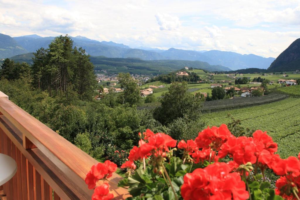 Kreuzstein Bed&Breakfast Appiano Sulla Strada Del Vino Chambre photo